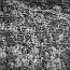 thumbs/E5D_5911.jpg